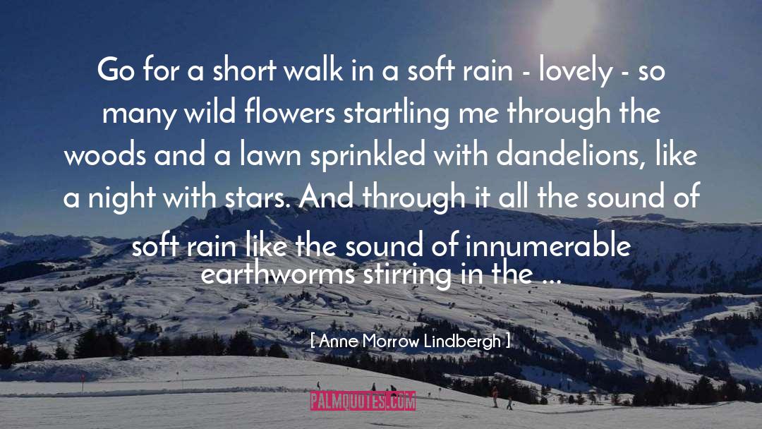 Earthworms quotes by Anne Morrow Lindbergh