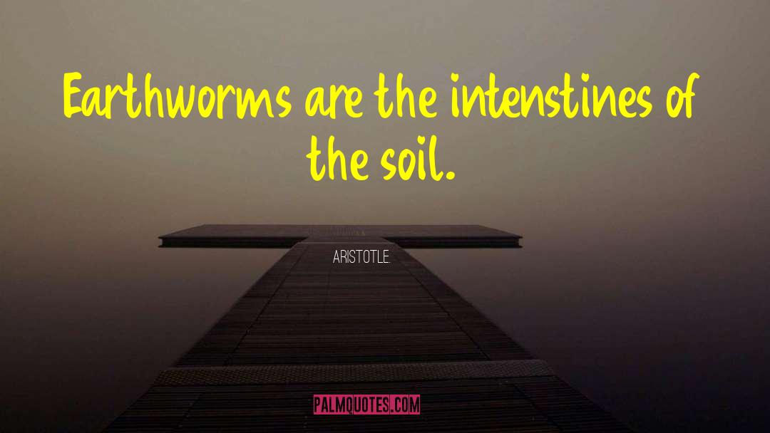 Earthworms quotes by Aristotle.