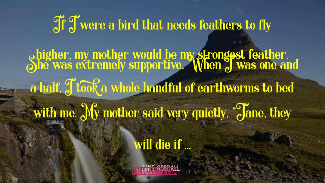 Earthworms quotes by Jane Goodall