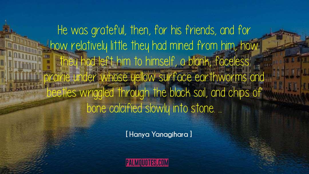 Earthworms quotes by Hanya Yanagihara