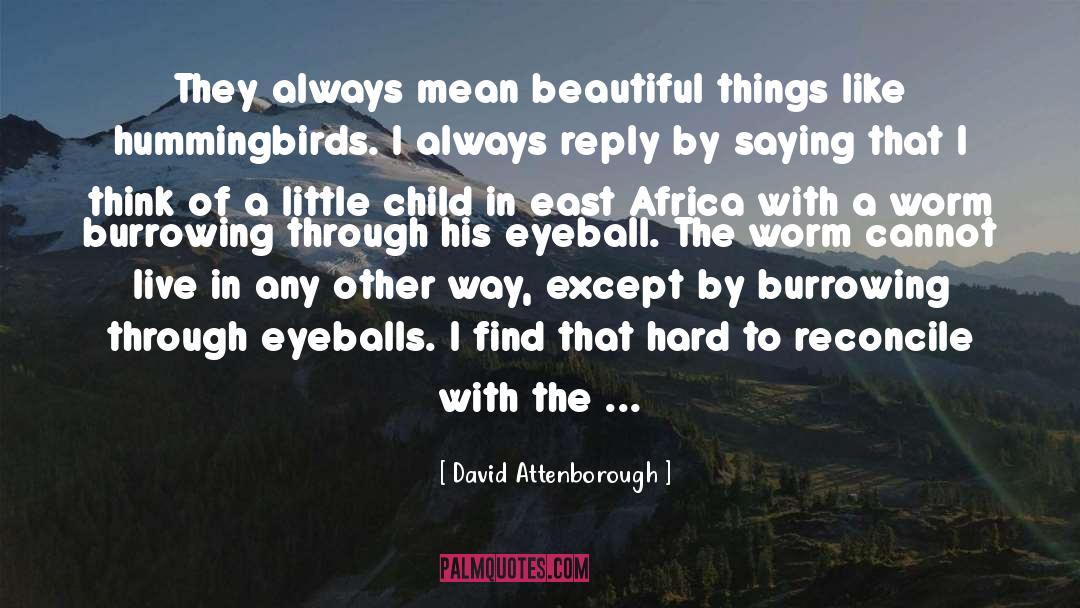 East Africa quotes by David Attenborough