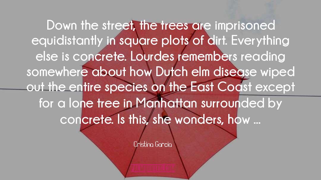 East Coast quotes by Cristina Garcia