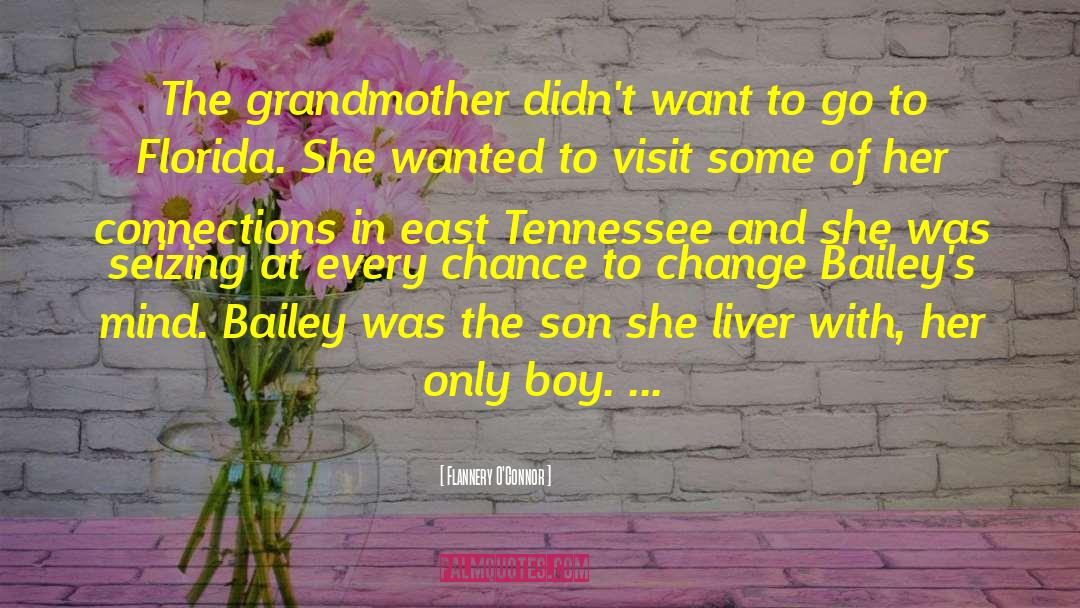 East Tennessee quotes by Flannery O'Connor