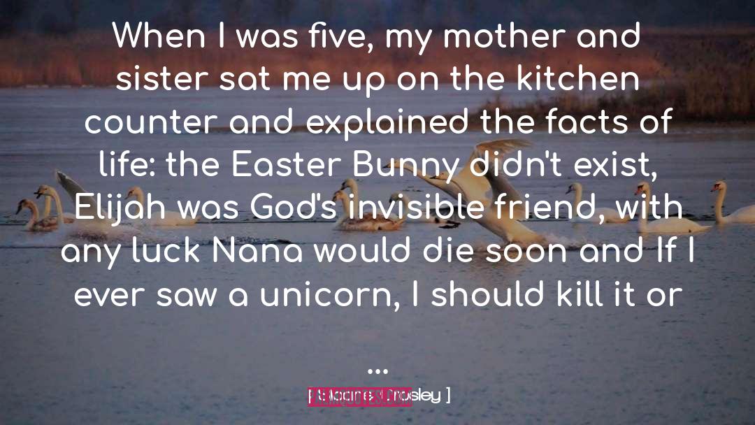Easter Bunny quotes by Sloane Crosley