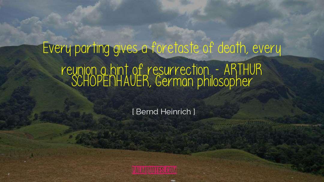 Easter Resurrection quotes by Bernd Heinrich