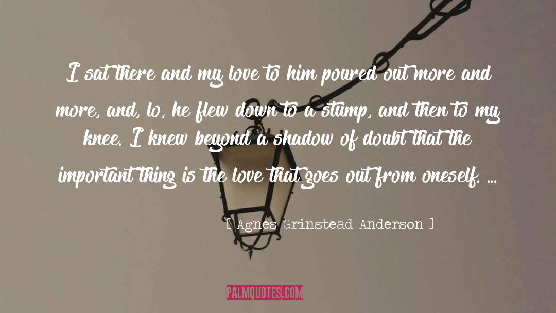 Easy Love quotes by Agnes Grinstead Anderson