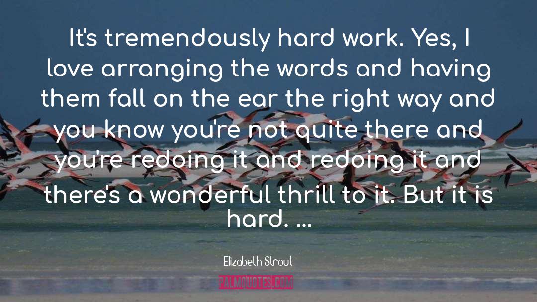 Easy Work quotes by Elizabeth Strout