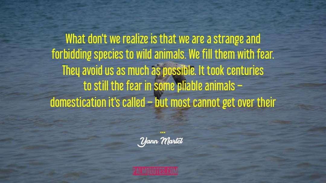 Eating Animals quotes by Yann Martel