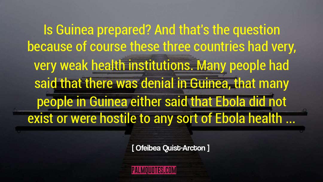 Ebola quotes by Ofeibea Quist-Arcton
