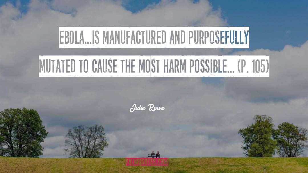 Ebola quotes by Julie Rowe