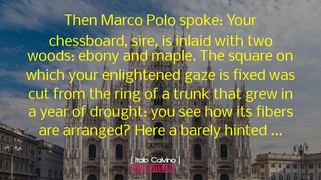 Ebony quotes by Italo Calvino