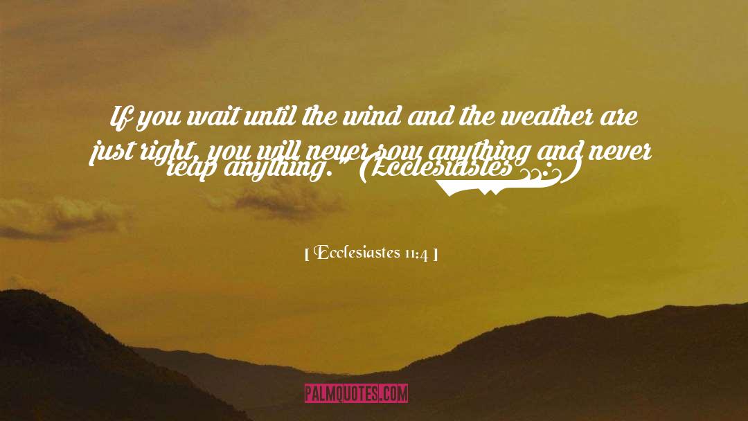 Ecclesiastes quotes by Ecclesiastes 11:4