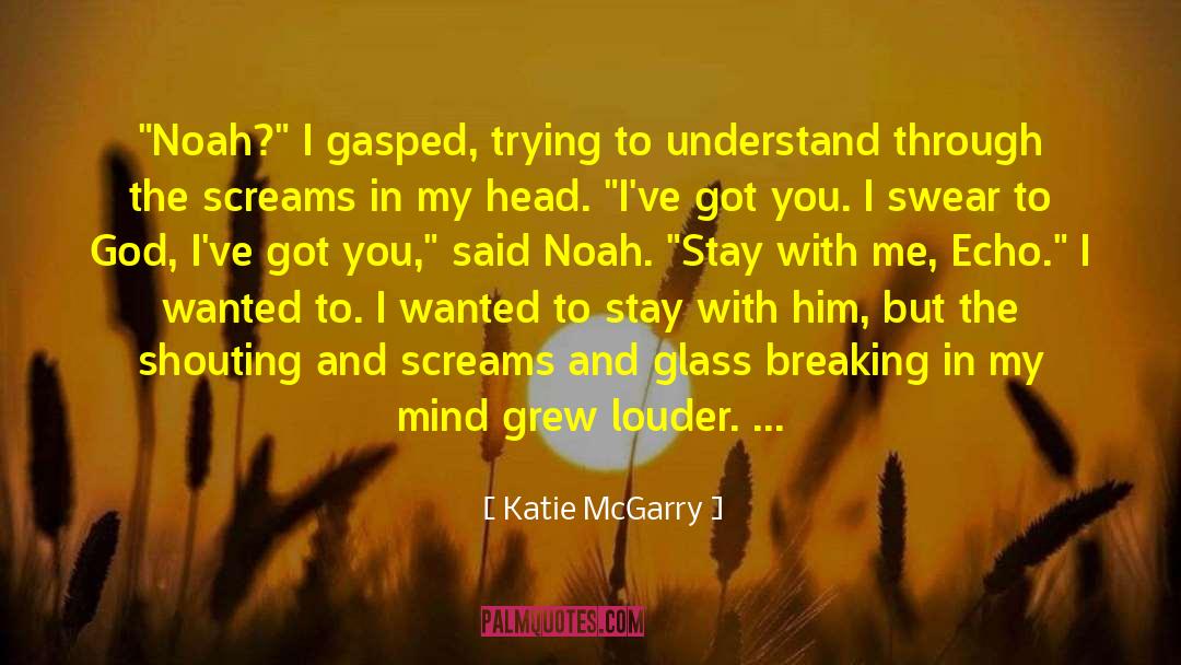 Echo Emerson quotes by Katie McGarry