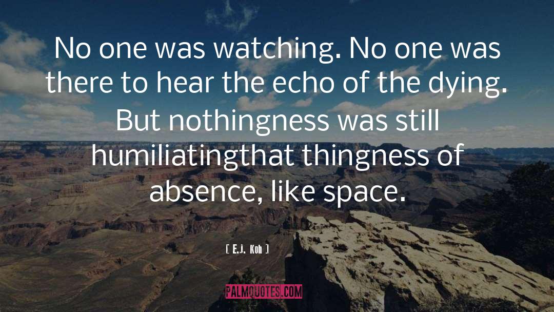 Echo quotes by E.J. Koh