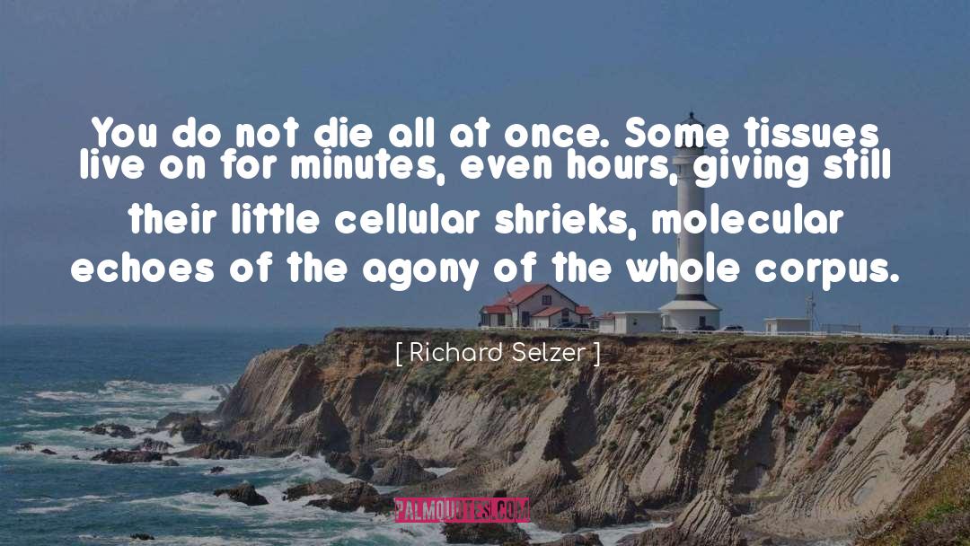 Echoes quotes by Richard Selzer