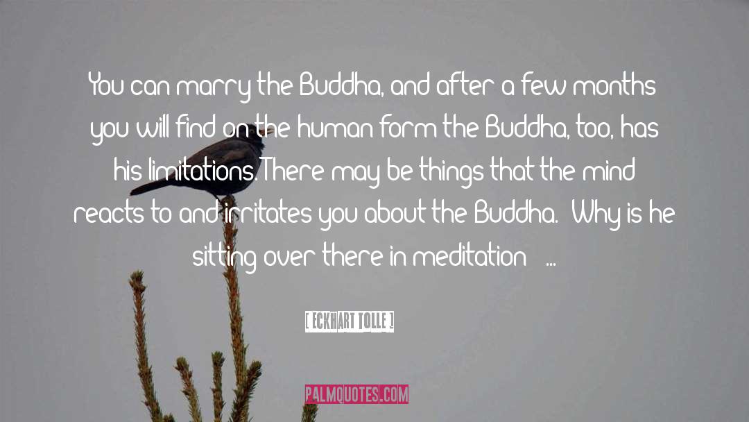 Eckhart Tolle Meditation quotes by Eckhart Tolle