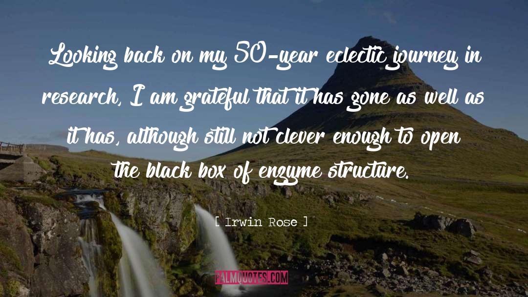 Eclectic quotes by Irwin Rose