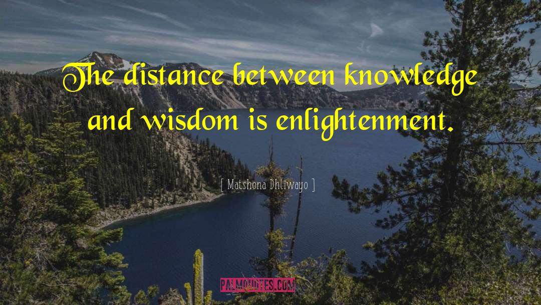 Eclectic Wisdom quotes by Matshona Dhliwayo