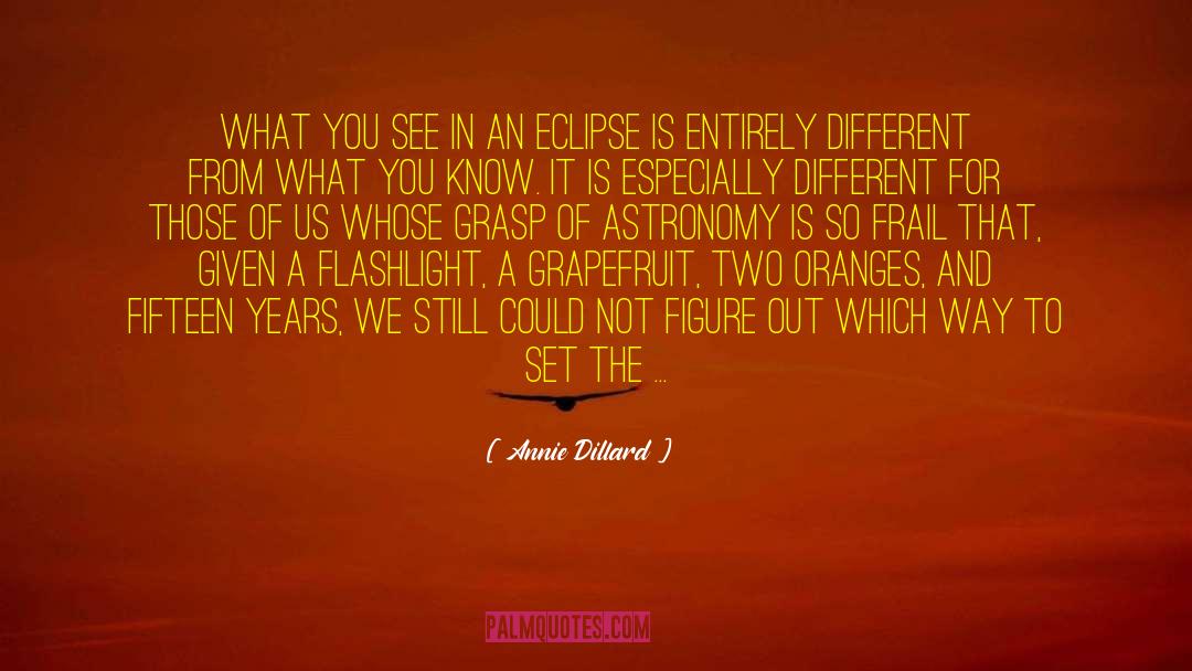 Eclipse Qoute quotes by Annie Dillard