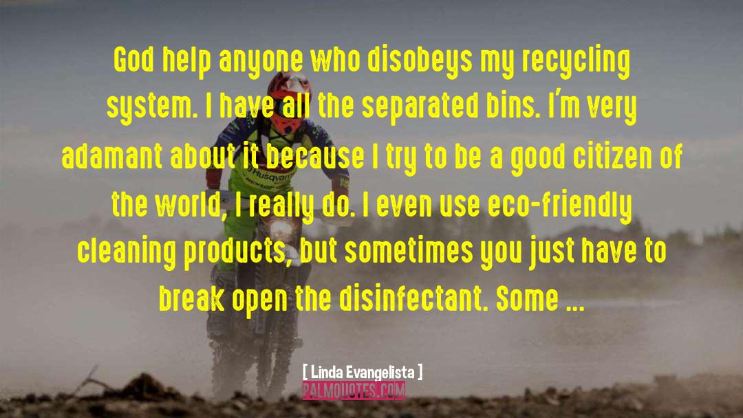 Eco Friendly quotes by Linda Evangelista