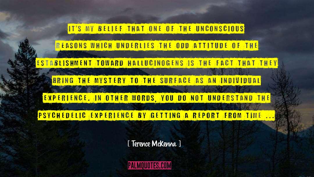 Ecological Mystery quotes by Terence McKenna