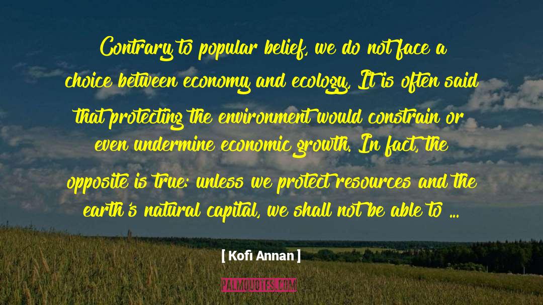 Ecology quotes by Kofi Annan