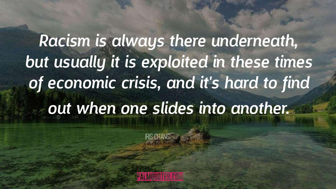 Economic Crisis quotes by Iris Chang