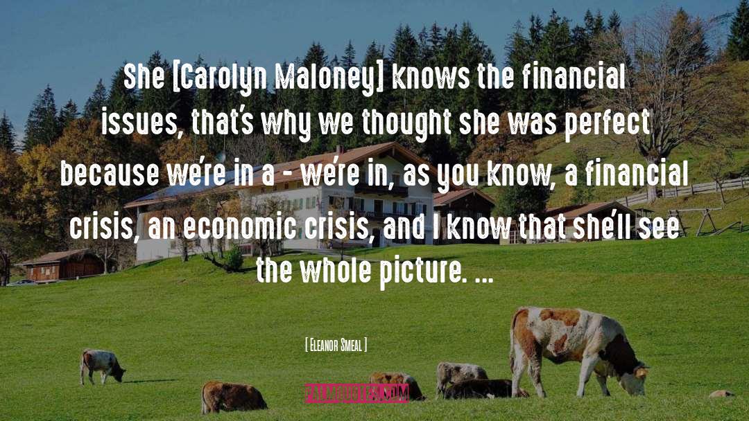 Economic Crisis quotes by Eleanor Smeal