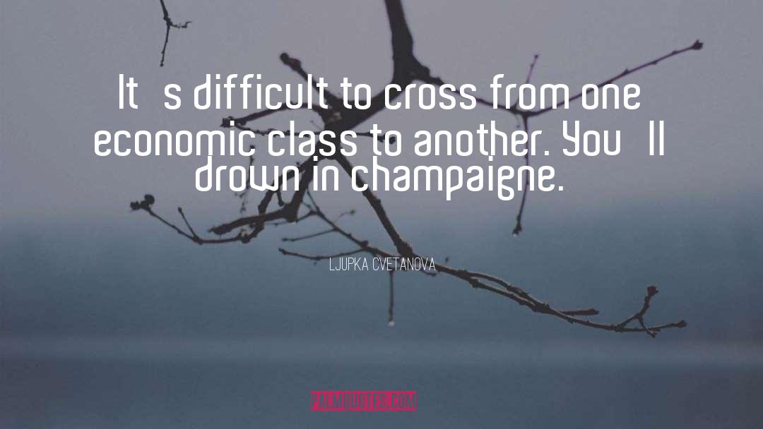 Economic Inequality quotes by Ljupka Cvetanova