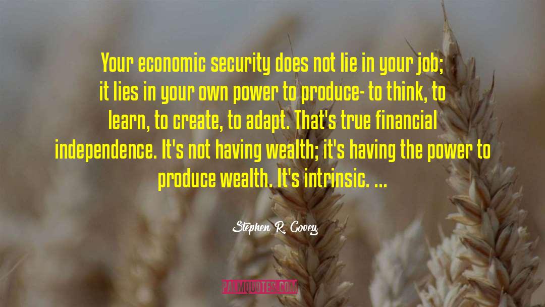 Economic Security quotes by Stephen R. Covey