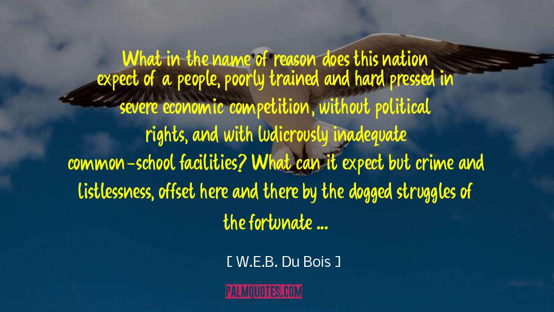 Economic Stability quotes by W.E.B. Du Bois