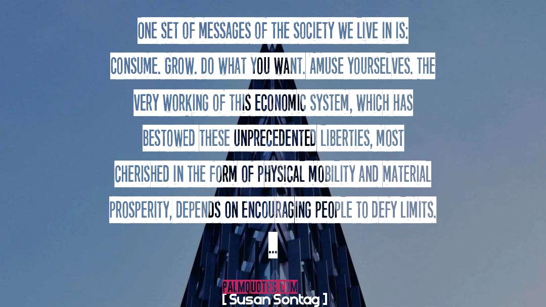 Economic Systems quotes by Susan Sontag