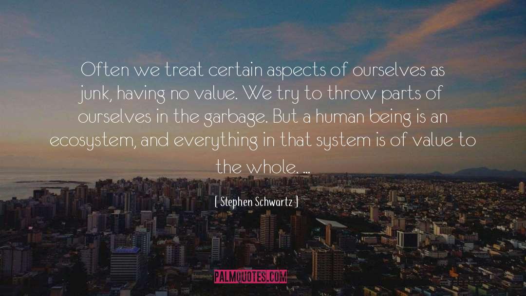 Economic Value quotes by Stephen Schwartz