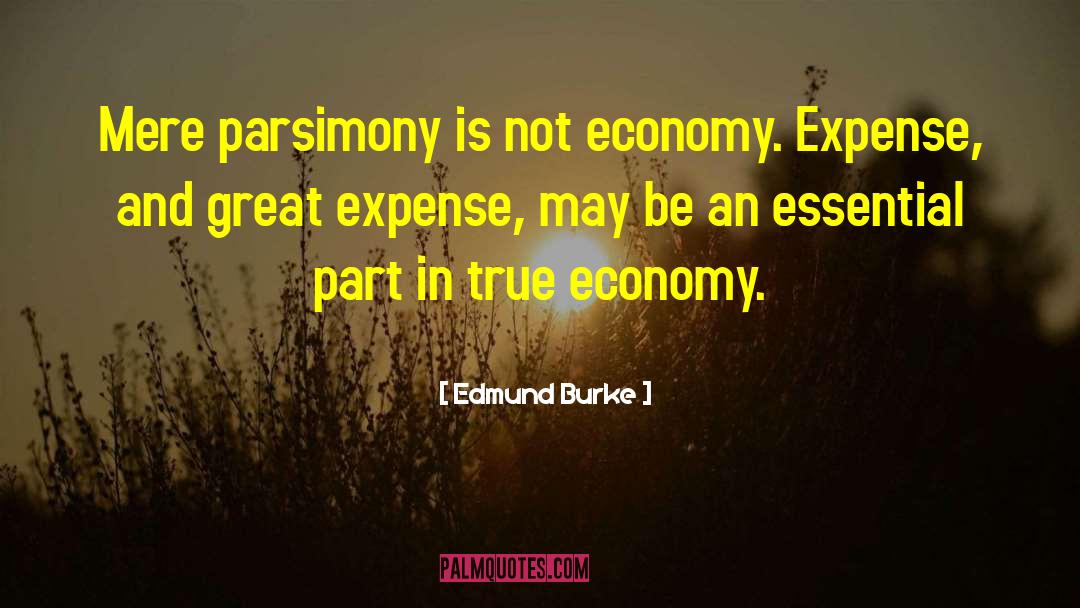 Economy And Economics quotes by Edmund Burke