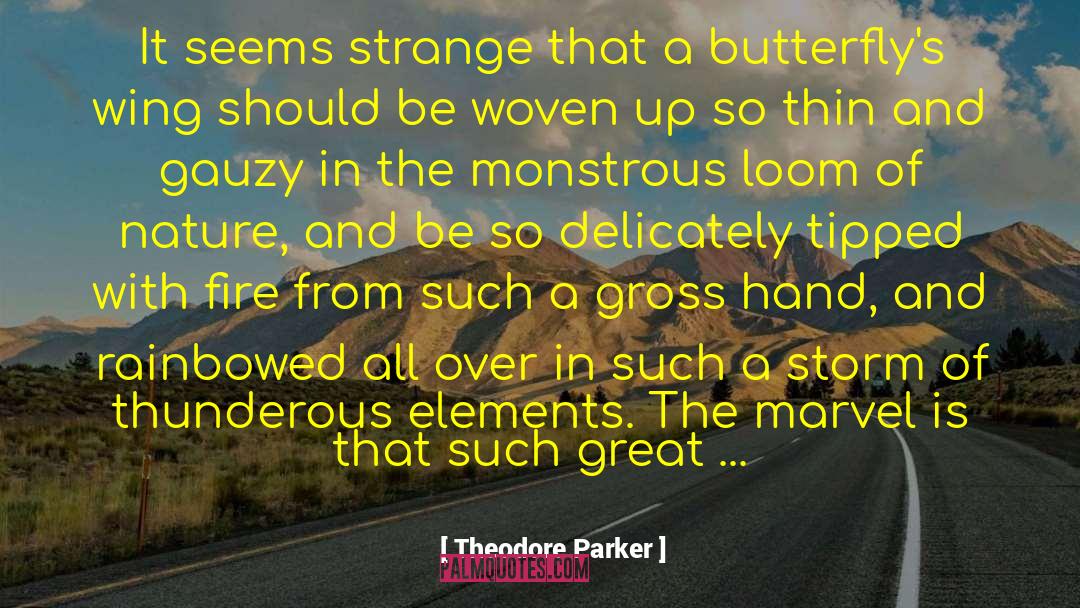 Economy Of Nature quotes by Theodore Parker