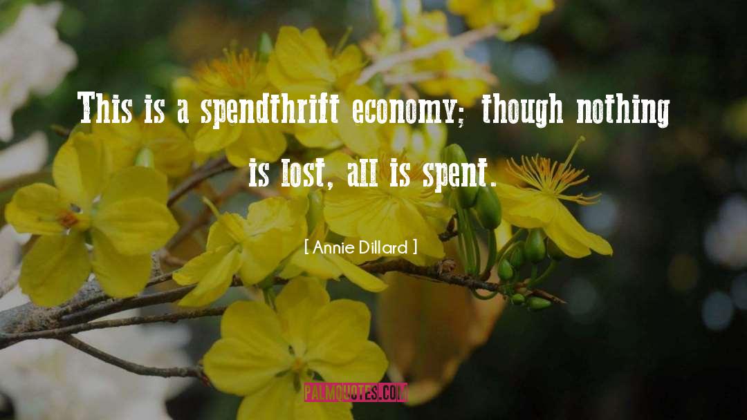 Economy Of Nature quotes by Annie Dillard