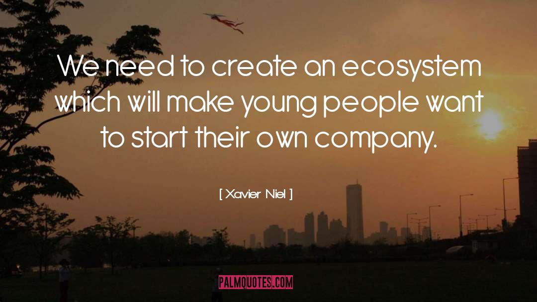 Ecosystem quotes by Xavier Niel