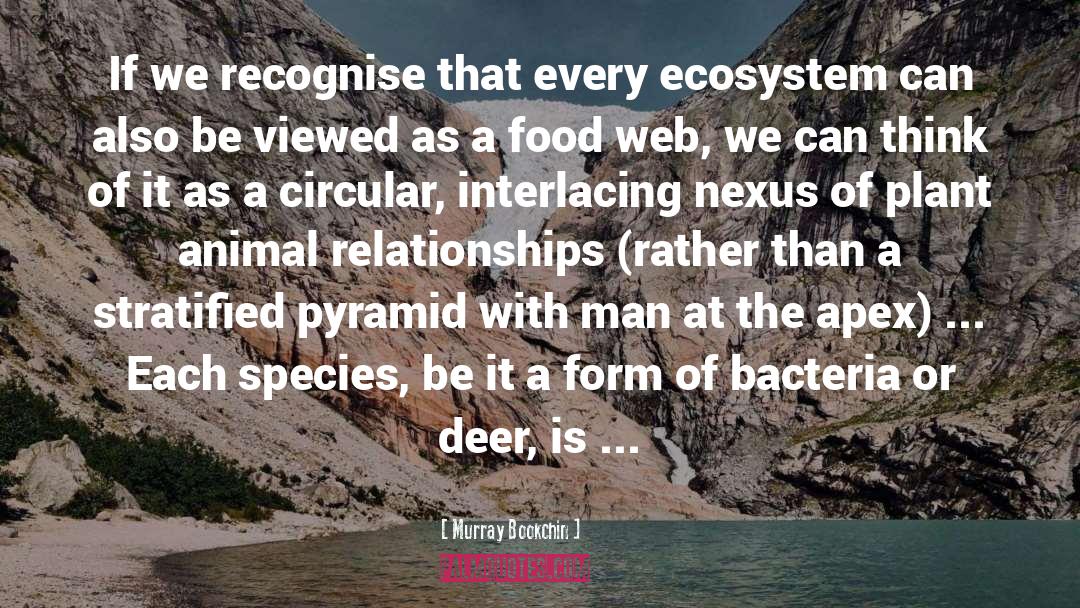 Ecosystem quotes by Murray Bookchin