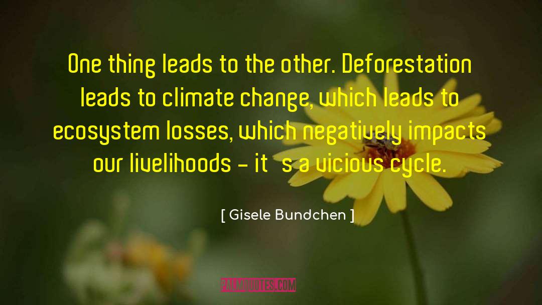 Ecosystem quotes by Gisele Bundchen