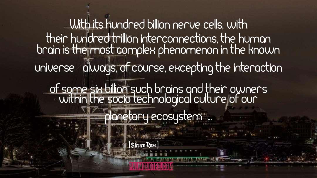 Ecosystem quotes by Steven Rose