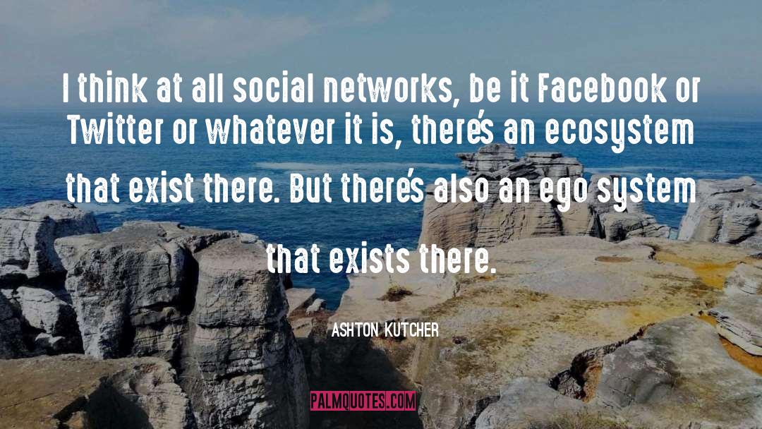 Ecosystem quotes by Ashton Kutcher