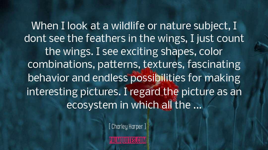 Ecosystem quotes by Charley Harper