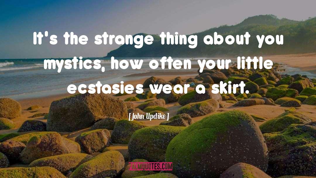 Ecstasies quotes by John Updike