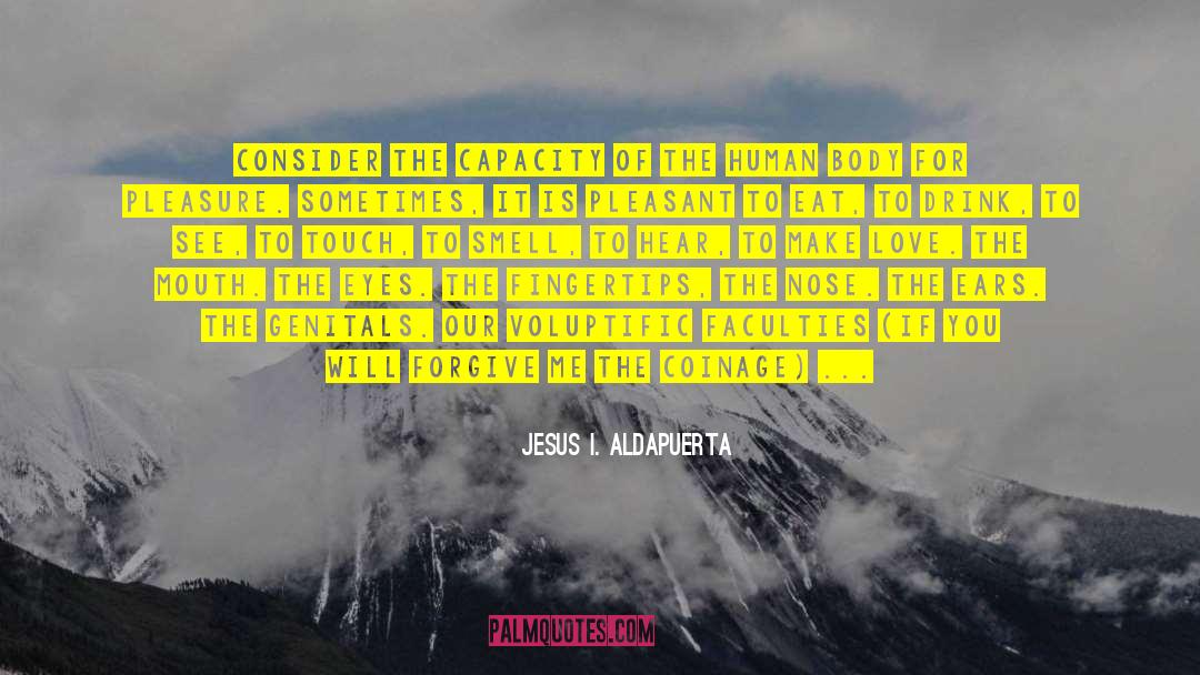Ecstasies quotes by Jesus I. Aldapuerta