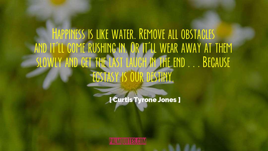 Ecstasy Of Life quotes by Curtis Tyrone Jones