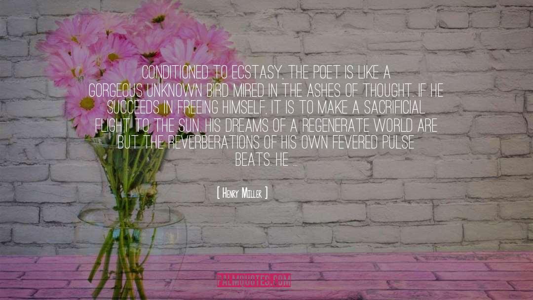 Ecstasy quotes by Henry Miller