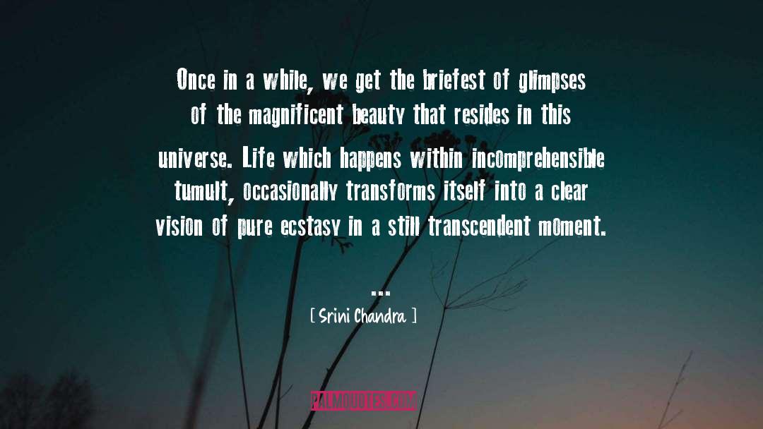 Ecstasy quotes by Srini Chandra