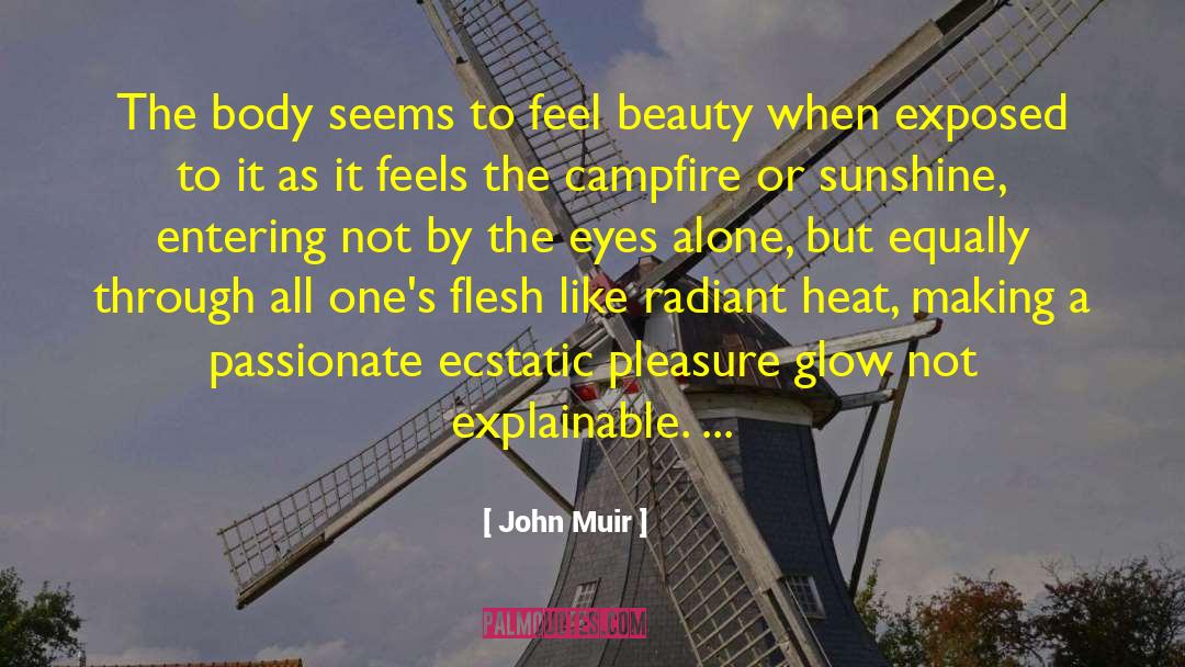 Ecstatic Epilepsy quotes by John Muir