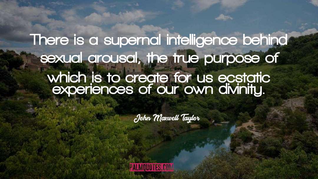 Ecstatic quotes by John Maxwell Taylor