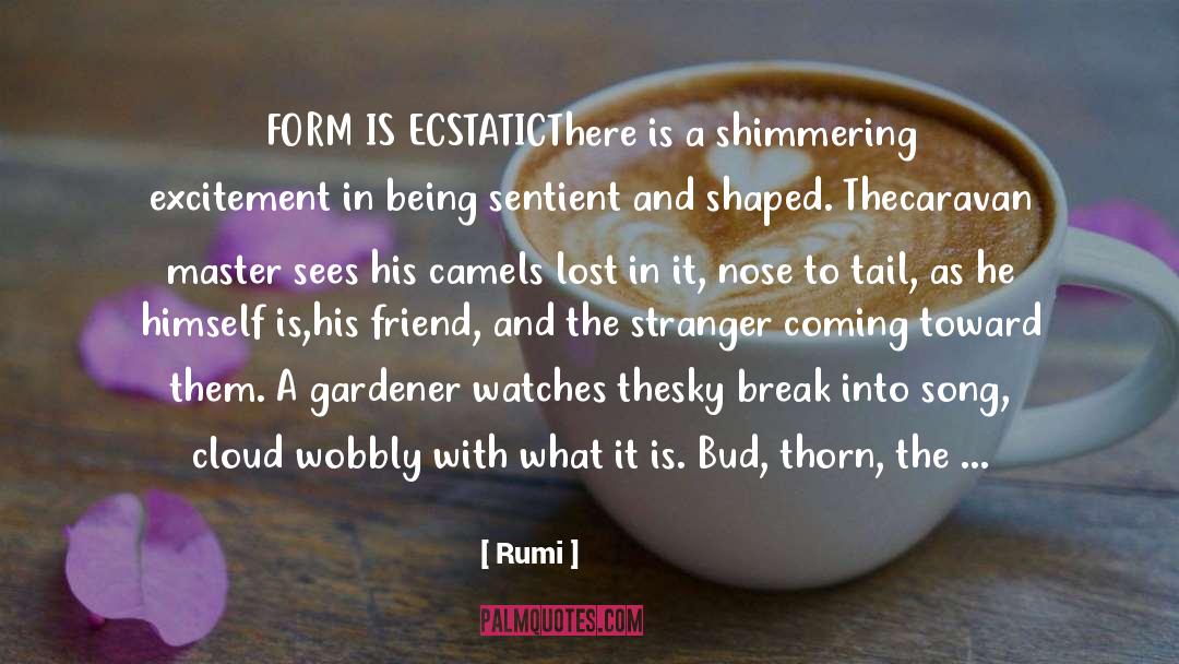 Ecstatic quotes by Rumi